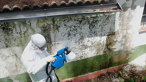 Top rated local Commercial Mold Remediation specialists in Pottstown, PA